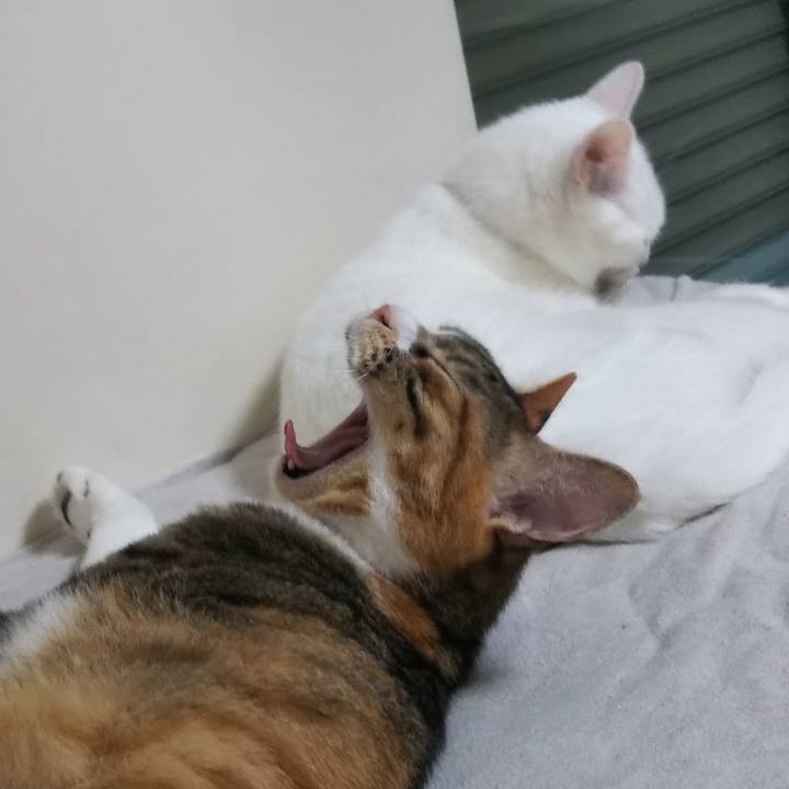 D848fd4a 243e 451b b0a1 a26b432b5826 1662987552709