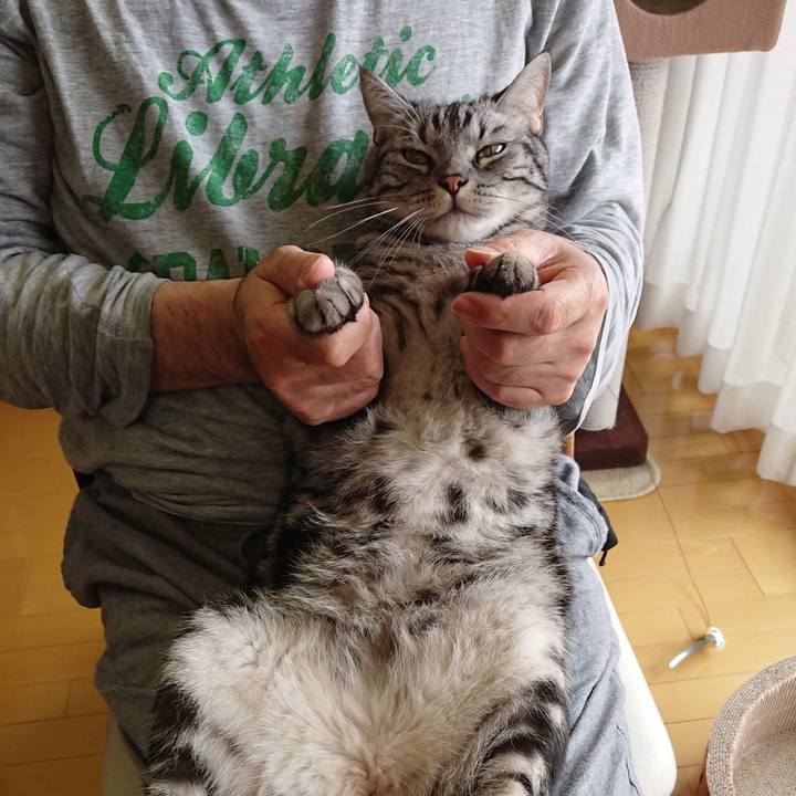 D8491b5e fcc3 4042 b748 ea56d7d70c9e 1523163776000