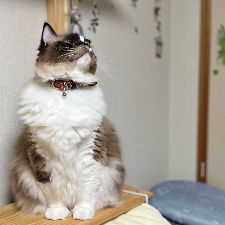 D8492647 c915 4f77 911b ef7a1f682d2e 1659878478219