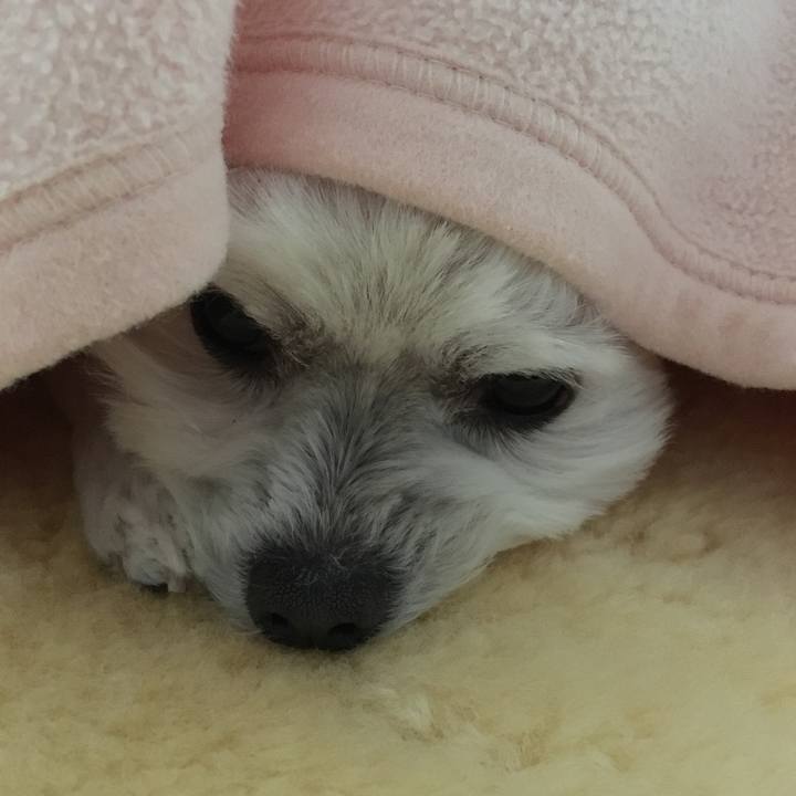 D8493da0 bee3 4277 b194 10549003ecdf 1555020843090