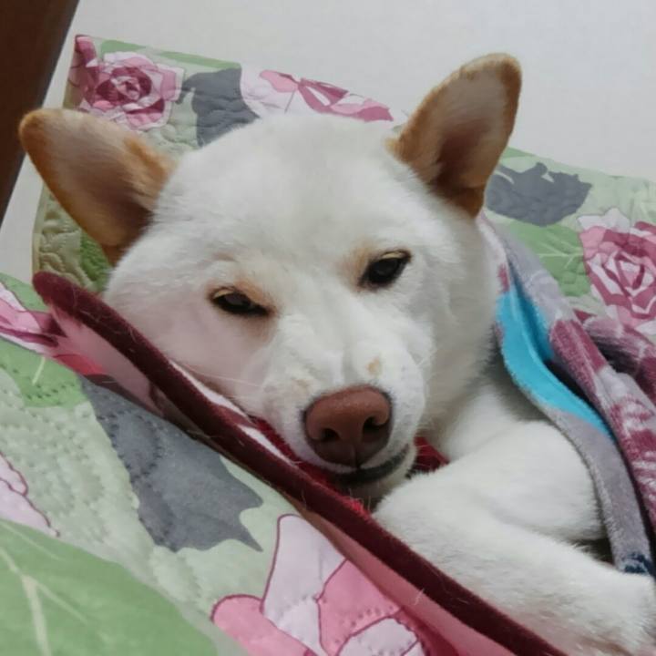 D8497063 0ffe 42c0 b36d d2881b65ca46 1530453639437