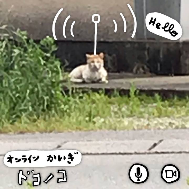 D8498ab6 9906 4c69 aaf2 552c51bfab47 1590742773918