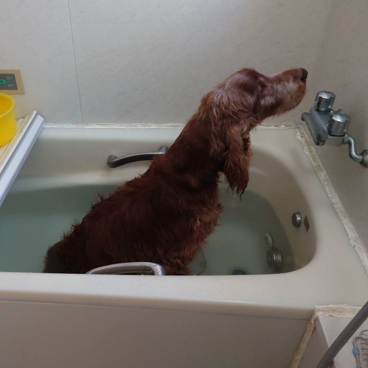 D849aca8 14f1 4aa2 806e 3c3911565b30 1706605437646