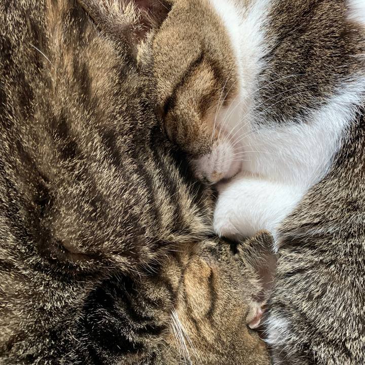 D849b12d 254c 412a 88bd 987e650bd44a 1576198906231