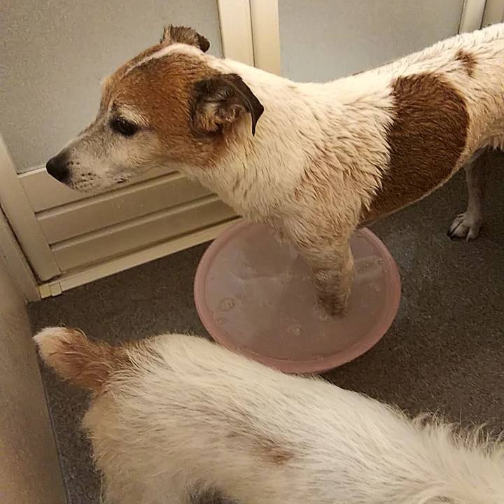 D849b5b3 a0b2 49b0 bb4c 34015be07502 1547297072859