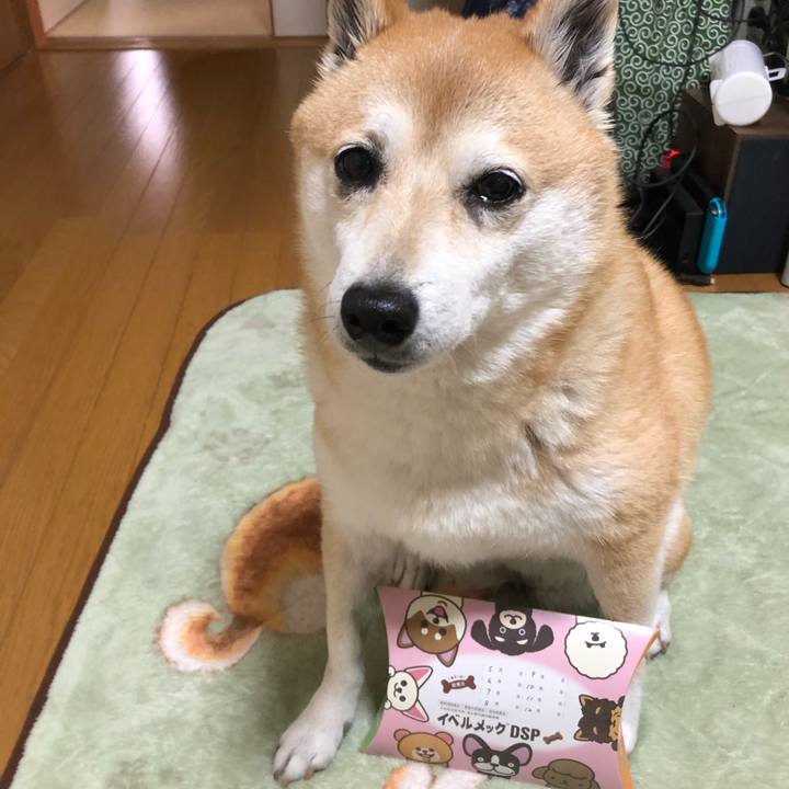 D849bcb6 b2fc 4162 9239 65bb3302a06e 1606799487685