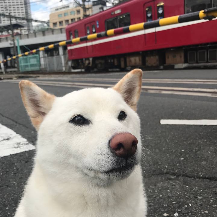 D849ca51 8175 4d82 a0aa f2b4ecdb2a65 1509407047060