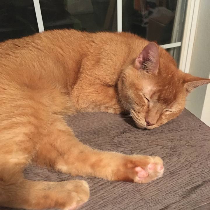 D849ca6a c14c 48de ac56 c964f97f7d69 1660932692541