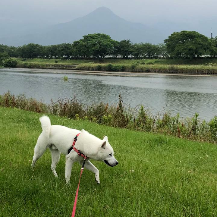 D84acaf5 c958 4113 82c2 286191af8993 1528156410300