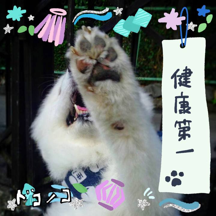 D84b4307 2f70 423f 947c 8c97d2de7678 1720849200703