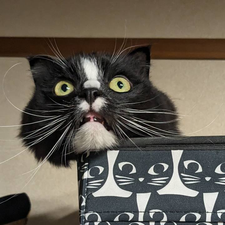 D84b5903 130d 407a 922b 56aec4c7b5f5 1710932805391