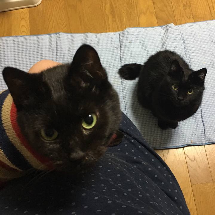 D84bc038 af16 4825 a24b 831471f339ec 1543406010104