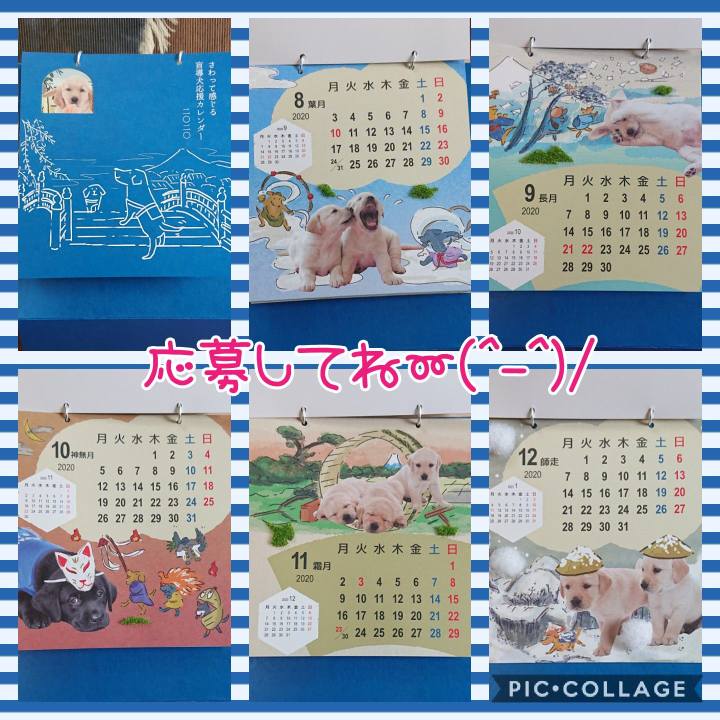 D84bc113 32e3 4407 b871 eb42f6436337 1596149987135