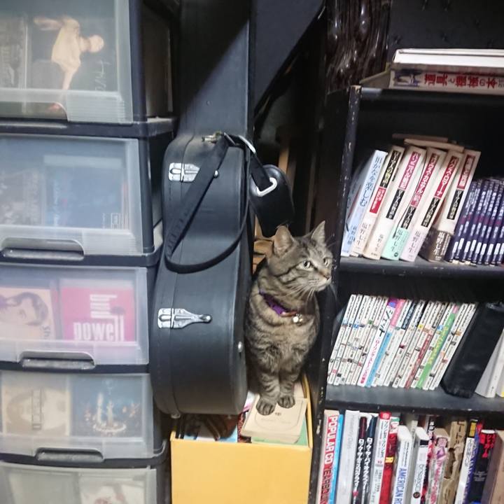 D84bd5a8 25d6 44ea a4d7 78e29a199e0c 1649766093968