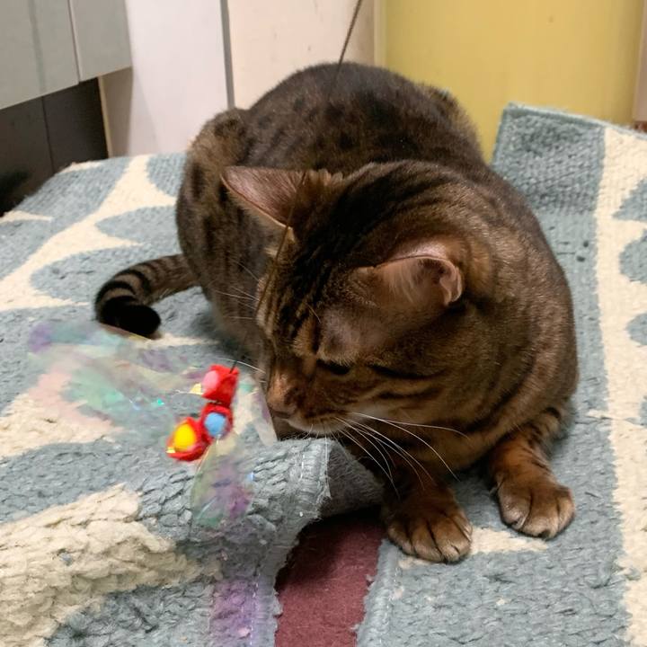 D84beff4 8c1f 49ac aeb3 dcef122eaa10 1608347847370