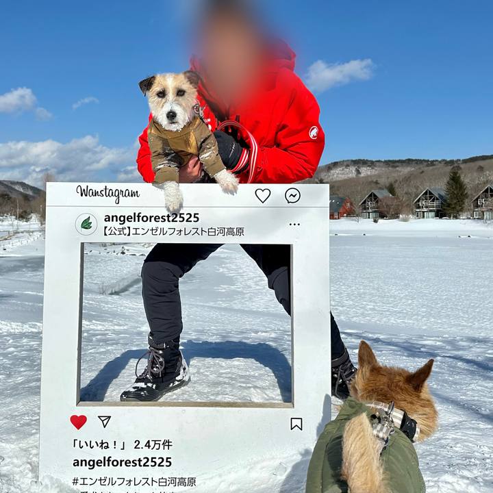 D84c138b 63f0 4e2d 9f07 22cb40d72ba1 1739978938989