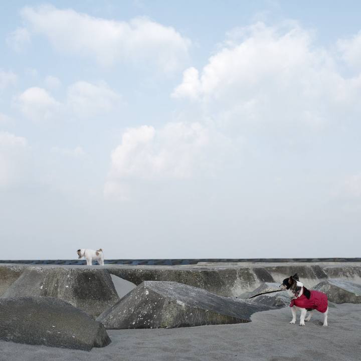 D84c235b dff6 4543 b3b1 b4ebe7b23a2c 1551757828909