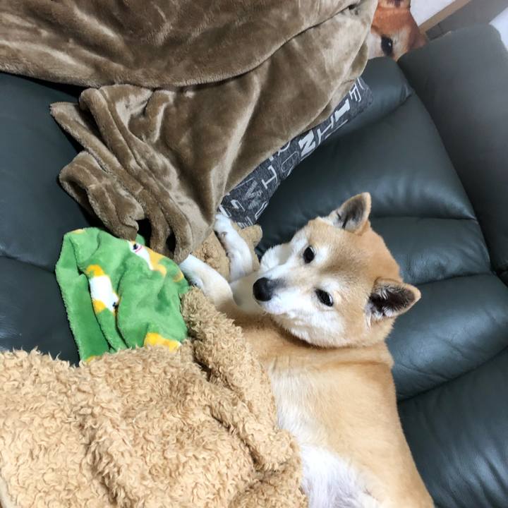 D84c28c6 4dfb 427d 9cd2 c361d6f1e8de 1584331255122