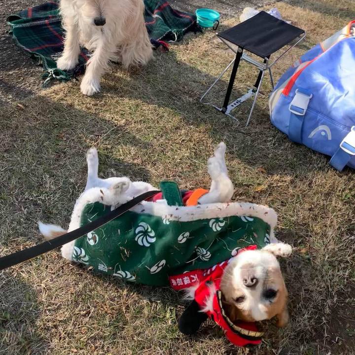 D84c54d0 dbb4 43d0 8208 cfd749c04c11 1704285709260