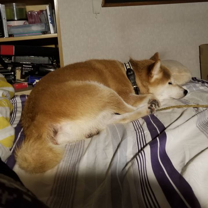 D84c63b2 7226 4e54 9577 9049747bef5e 1596289550143