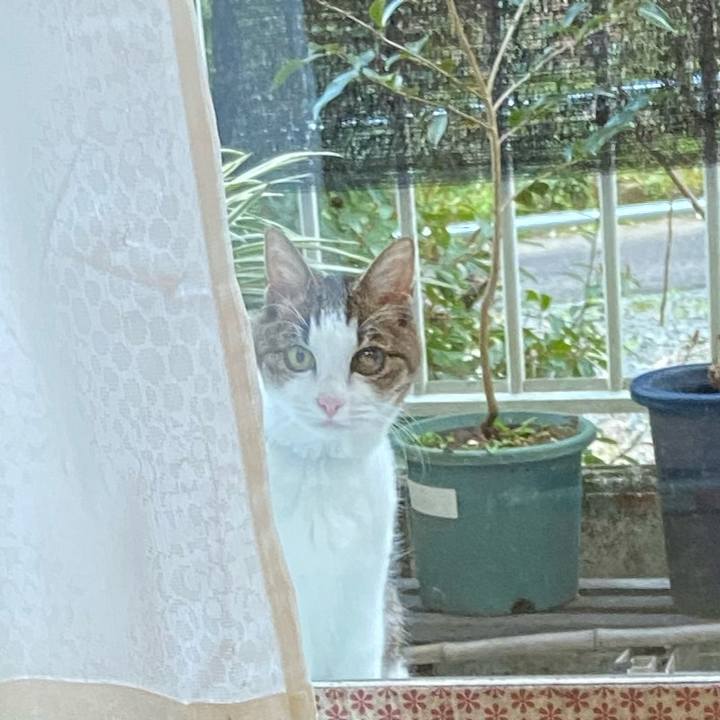 D84c6579 5f8b 4646 a964 f32f3b91d38a 1582451097696