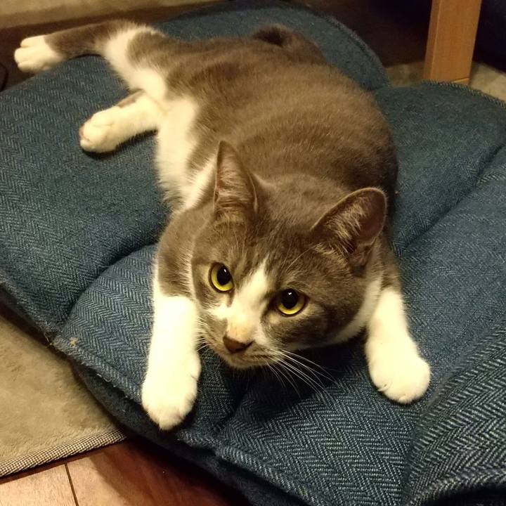 D84c794b 9a77 410c a567 de3f68ebfd49 1601556054402