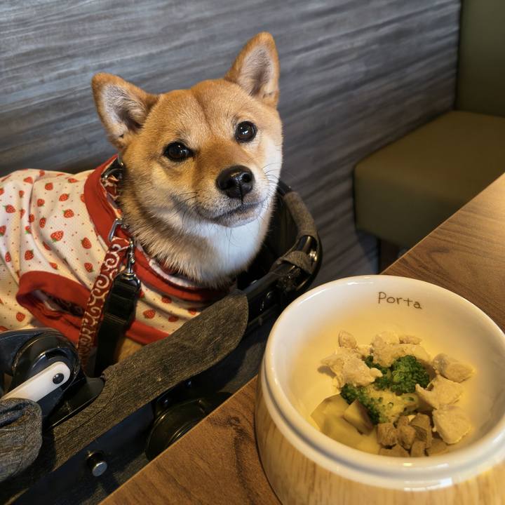 D84c8803 fd9e 4263 961b 0a5c1242856b 1772874771633