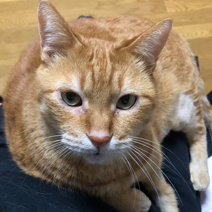 D84cb5e0 7336 41e4 bba4 c085149e74f0 1701952213880