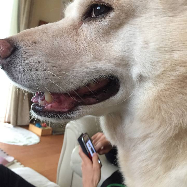 D84ccd19 bda0 477a a127 c4c075606871 1508215042880