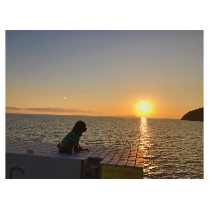 D84ce0b4 c905 48de b016 3834fa67028e 1547384920249