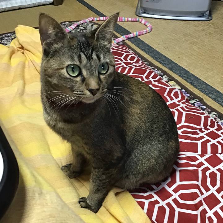 D84d3b4c 9644 4f17 beff 92b535a10de1 1639349842682