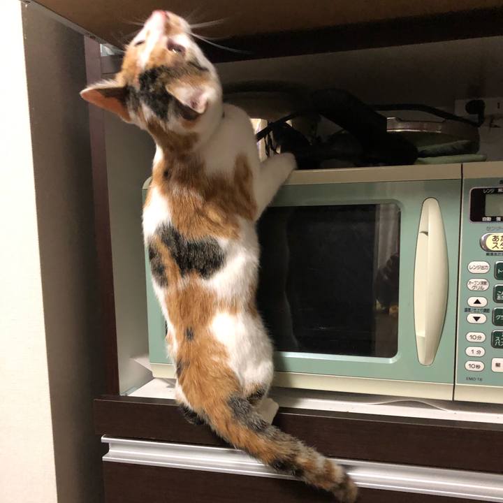 D84d5bfc fcd6 47e5 9337 027978e9e17e 1567427177739