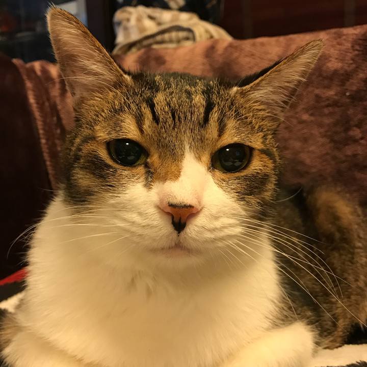 D84d76a8 733a 4a79 a041 3026e6b1fbfa 1524842917963