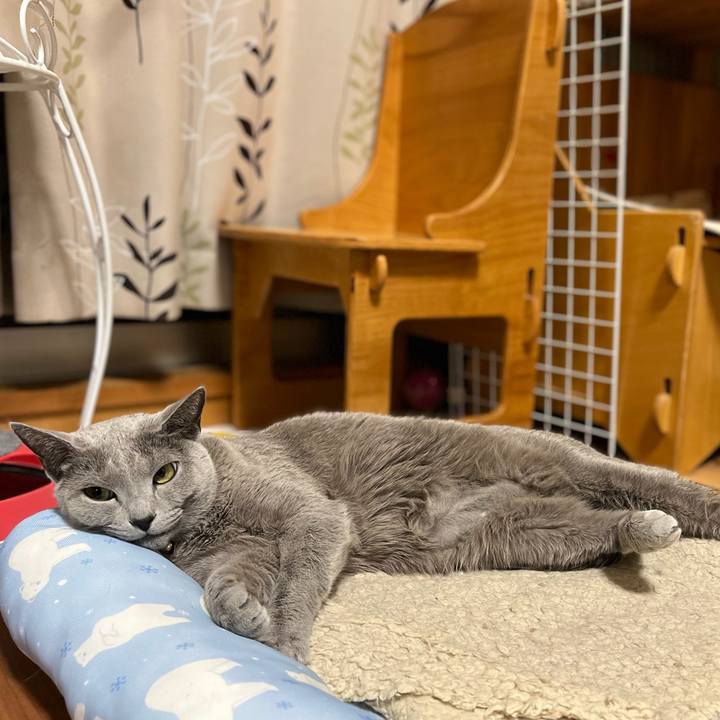 D84d7af8 f6dd 4a7b 8353 01511ede6e1b 1647783158215