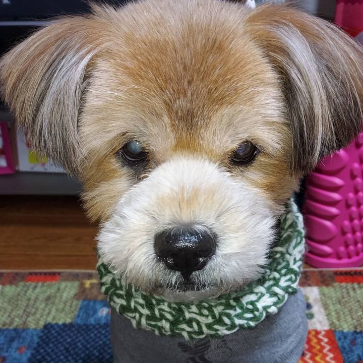 D84d9100 ce41 461b 91f1 61e2801d4e11 1645445214797