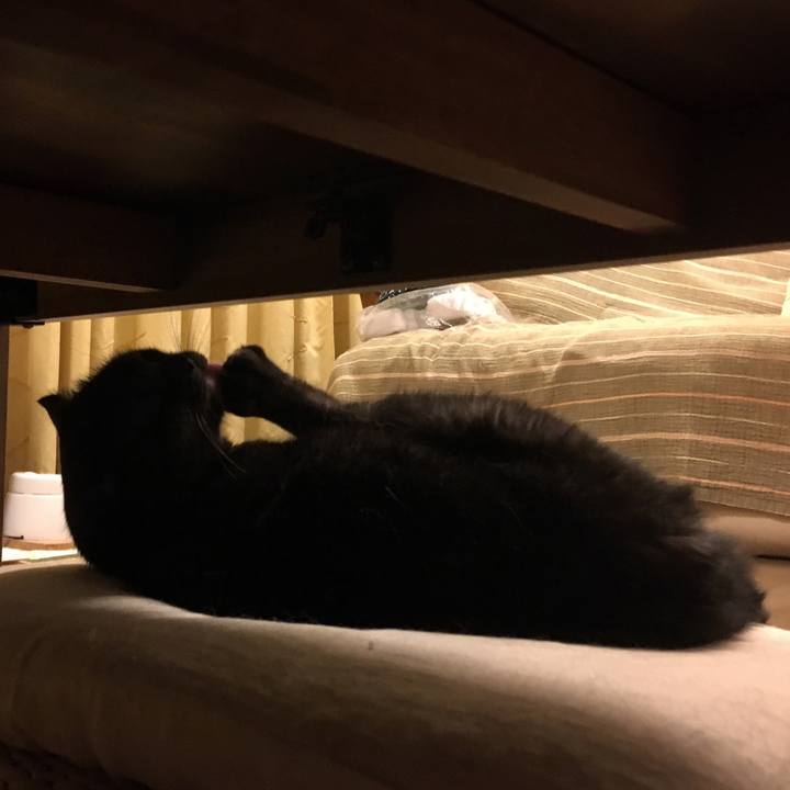 D84d9572 d4ab 44fd 8946 0f9bf25f4e79 1532789674111