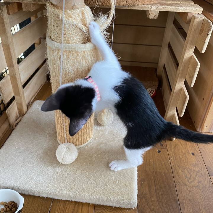 D84de265 c55a 4a8e aa06 b0d86d3931f9 1625016828978