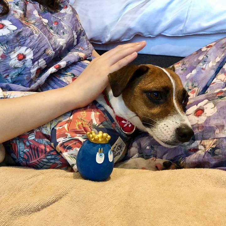 D84dec6a a5ed 47a2 bb5e d7667e128d80 1597998098556