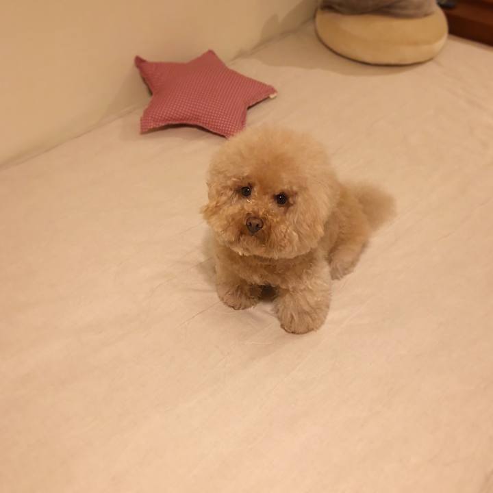 D84df0f1 1b02 4709 85bc 42b9e76fd8e2 1526992745110