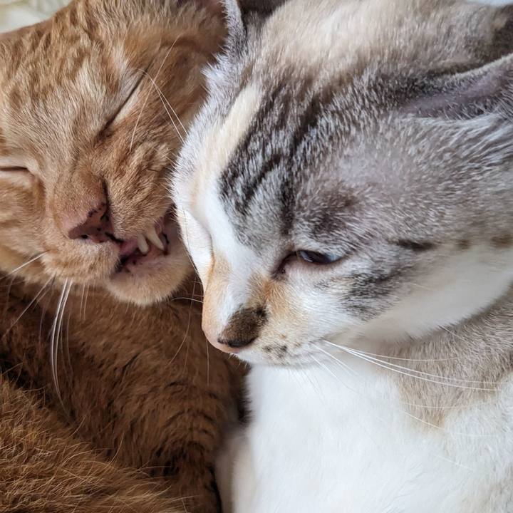 D84df31e aa27 4707 8357 aea4f969f15a 1746784386569