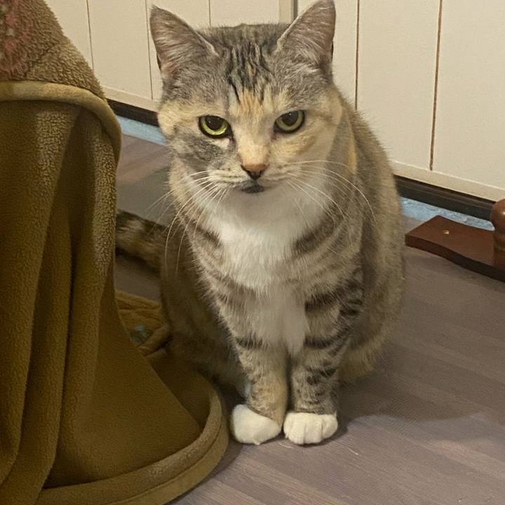 D84e0b40 c19c 4594 acbb 267f59489e93 1646409026623