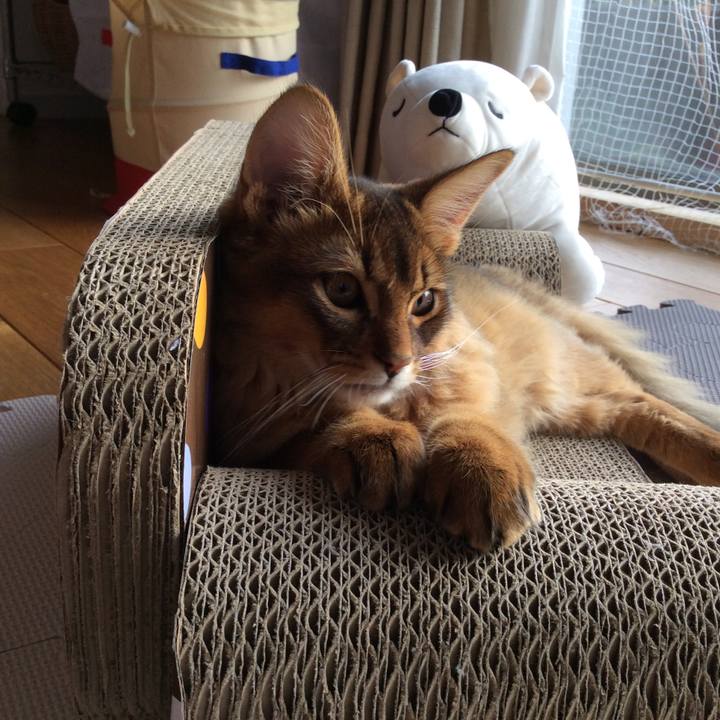 D84e1477 6397 4465 afad 850458cc603d 1576209135170