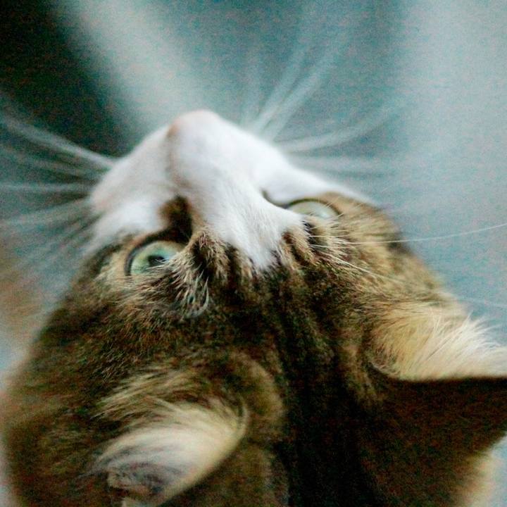 D84e67a4 e0c9 45c0 a70f bd71ee70e766 1545138651015