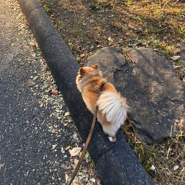 D84e854e 750d 498e b568 035ca8a5c611 1764689003124