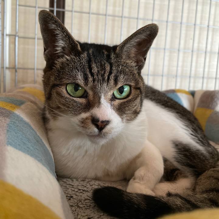 D84e8662 00c1 460f 902a 5ce7604c7675 1657936599438