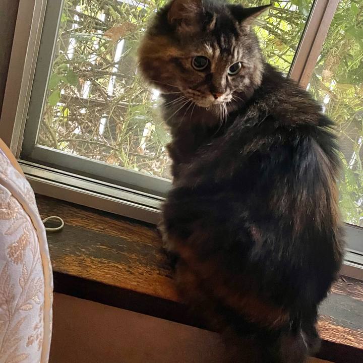 D84e8e04 aef9 434f a64e 237120b6be5e 1691899071758