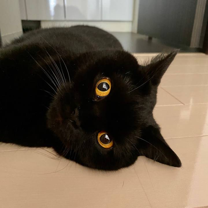 D84e9439 db77 46d8 b586 f5e223db56b2 1602892937495