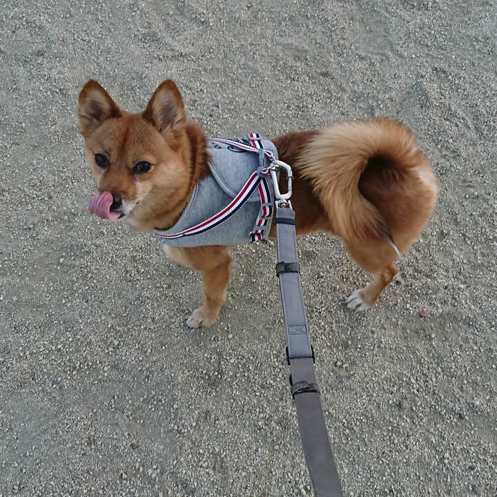 D84e9d67 90ae 4957 8dfb 1c5ae3304bdf 1547387724742