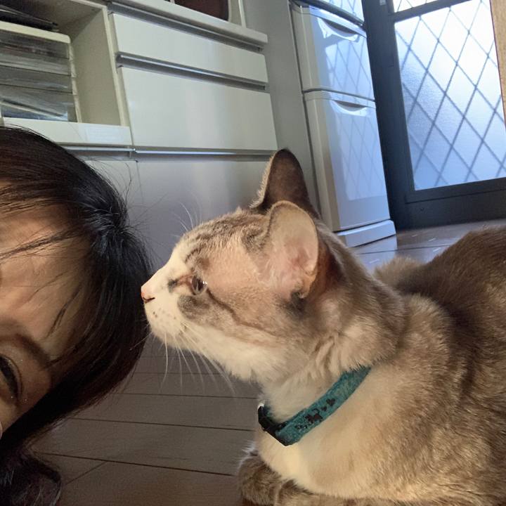 D84edf4d a397 4182 b13a b1b84d759c93 1665401582764