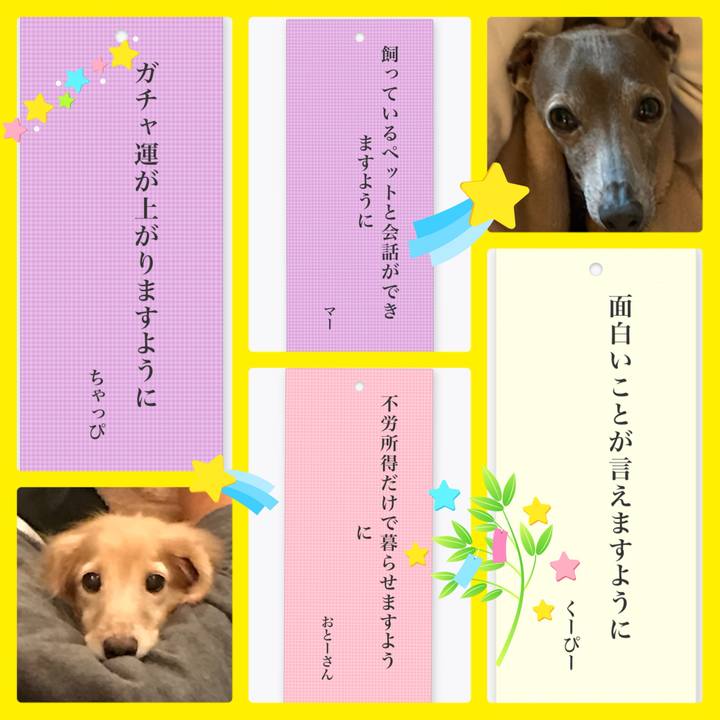 D84f3668 d4c9 41ce 8918 a452b02a039a 1783426728651